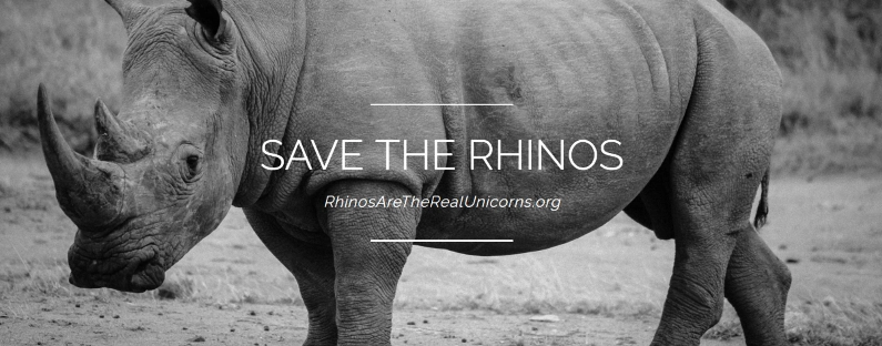 How To Make A Website About Rhinos On Save The Rhino Day Images, Photos, Reviews