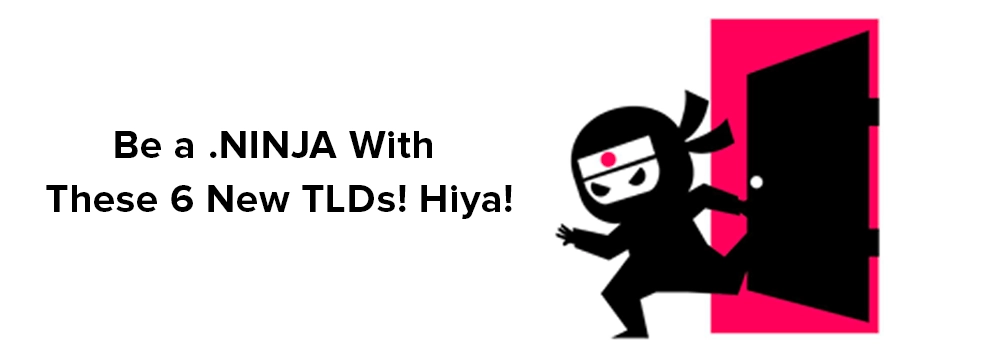 Be a .NINJA With These 6 New TLDs! Hiya!