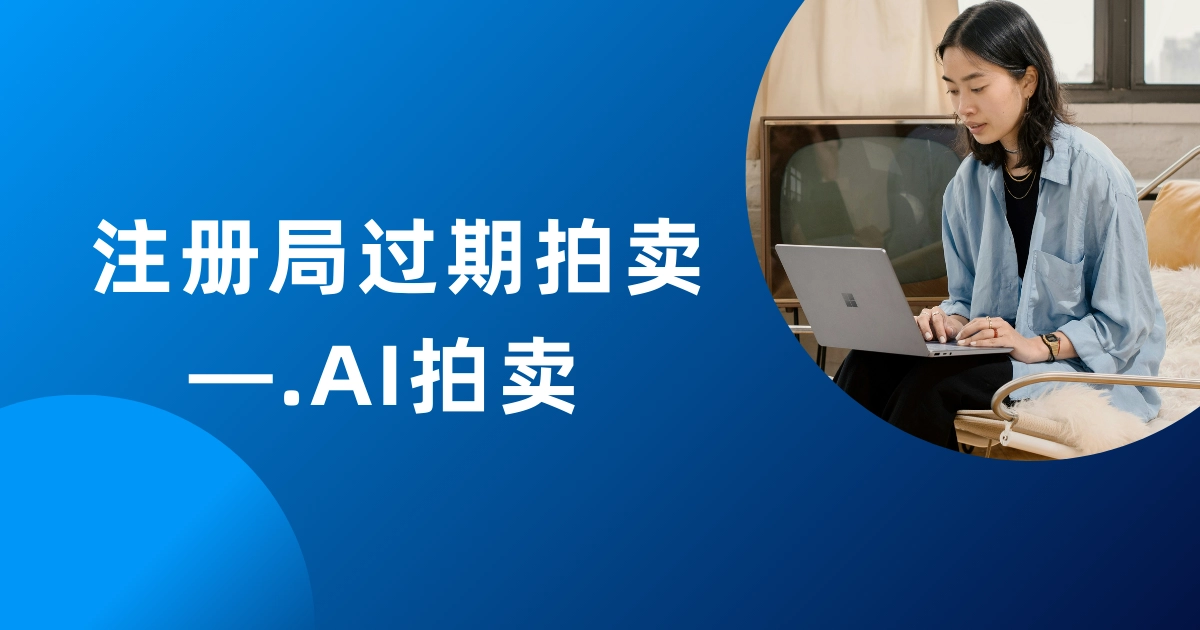 .AI 注册局过期拍卖——2024年8月