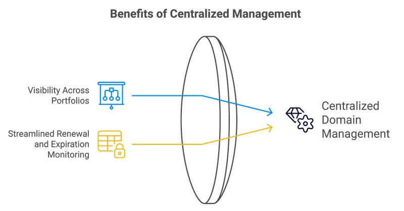 An infographic, 'Benefits of Centralized Management,' has a diagram. It shows two key benefits that lead to 'Centralized Domain Management.'' The benefits are: 1. 'Visibility Across Portfolios,' shown by a blue flowchart icon. 2. 'Streamlined Transfers,' shown by a yellow icon of a locked table. Arrows from these benefits point to a central area. It is labeled 'Centralized Domain Management.' It has an icon of a gem and a gear to show efficiency and value.