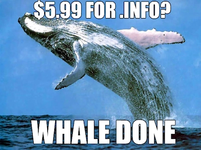 Whale Done Meme - .INFO Sale - Register .INFO Domains