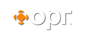 .ОРГ Domain Logo