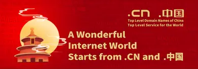 .中国 Domain Logo